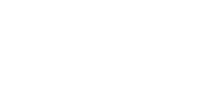 Rally Advisory Group Logo
